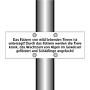 Das Füttern von wild lebenden Tieren ist untersagt! Durch das Füttern werden die Tiere krank, das Wachstum von Algen im Gewässer gefördert und Schädlinge angelockt!