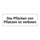 Das Pflücken von Pflanzen ist verboten