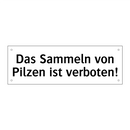 Das Sammeln von Pilzen ist verboten!