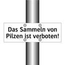 Das Sammeln von Pilzen ist verboten!