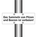 Das Sammeln von Pilzen und Beeren ist verboten!