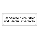 Das Sammeln von Pilzen und Beeren ist verboten