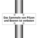 Das Sammeln von Pilzen und Beeren ist verboten