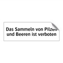 Das Sammeln von Pilzen und Beeren ist verboten