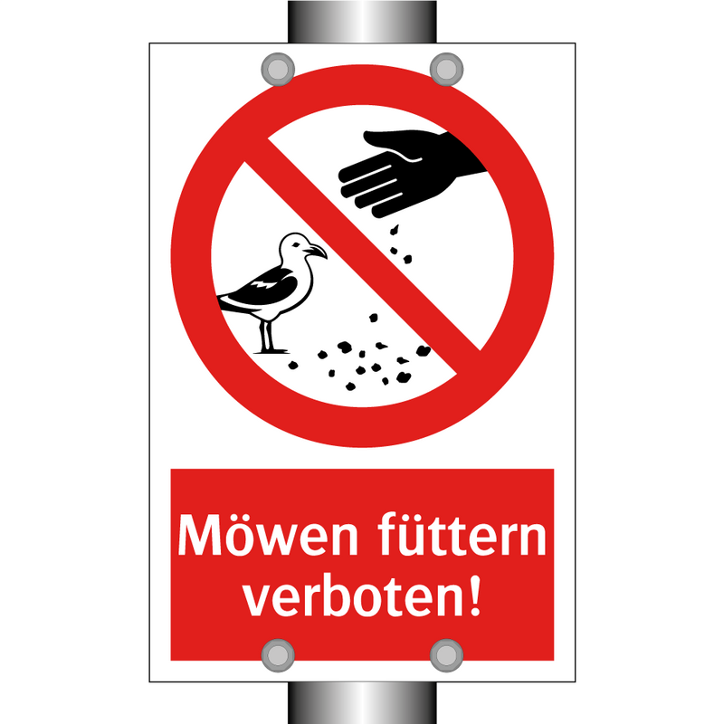 Möwen füttern verboten!