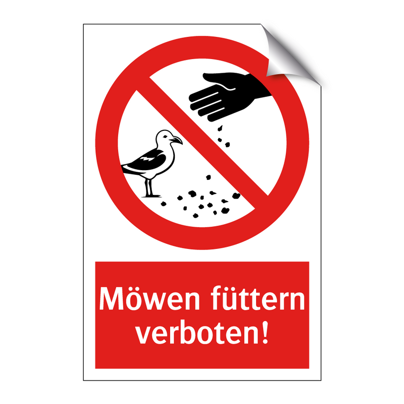 Möwen füttern verboten!