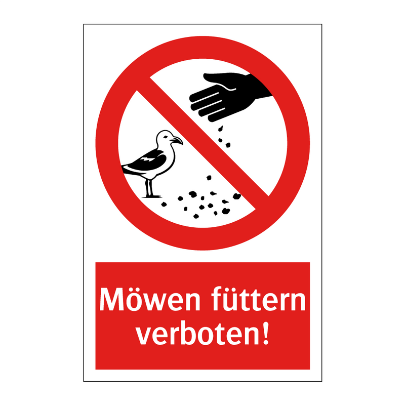 Möwen füttern verboten!
