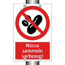 Nüsse sammeln verboten!