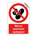 Nüsse sammeln verboten!