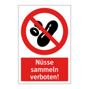 Nüsse sammeln verboten!