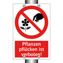 Pflanzen pflücken ist verboten!