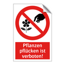 Pflanzen pflücken ist verboten!