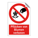 Pflücken von Blumen verboten