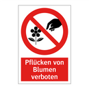 Pflücken von Blumen verboten