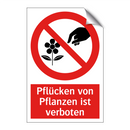 Pflücken von Pflanzen ist verboten