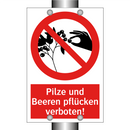 Pilze und Beeren pflücken verboten!