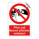 Pilze und Beeren pflücken verboten!