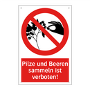 Pilze und Beeren sammeln ist verboten!
