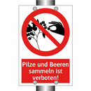 Pilze und Beeren sammeln ist verboten!