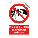 Pilze und Beeren sammeln ist verboten!