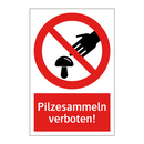Pilzesammeln verboten!