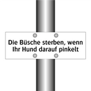 Die Büsche sterben, wenn Ihr Hund darauf pinkelt