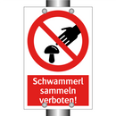 Schwammerl sammeln verboten!