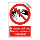 Schwammerl und Beeren sammeln verboten!