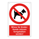 Wiese für Kinder: Hunde müssen ferngehalten werden!