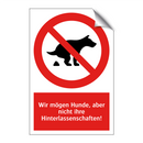 Wir mögen Hunde, aber nicht ihre Hinterlassenschaften!