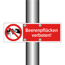 Beerenpflücken verboten!