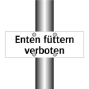 Enten füttern verboten