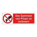 Das Sammeln von Pilzen ist verboten!
