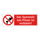 Das Sammeln von Pilzen ist verboten!