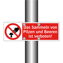 Das Sammeln von Pilzen und Beeren ist verboten!