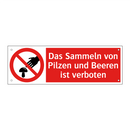 Das Sammeln von Pilzen und Beeren ist verboten