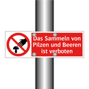 Das Sammeln von Pilzen und Beeren ist verboten