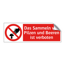 Das Sammeln von Pilzen und Beeren ist verboten