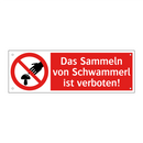 Das Sammeln von Schwammerl ist verboten!