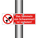Das Sammeln von Schwammerl ist verboten!