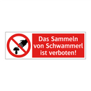 Das Sammeln von Schwammerl ist verboten!
