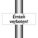 Ernten verboten!