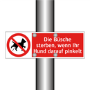 Die Büsche sterben, wenn Ihr Hund darauf pinkelt