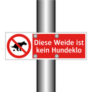 Diese Weide ist kein Hundeklo