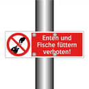 Enten und Fische füttern verboten!