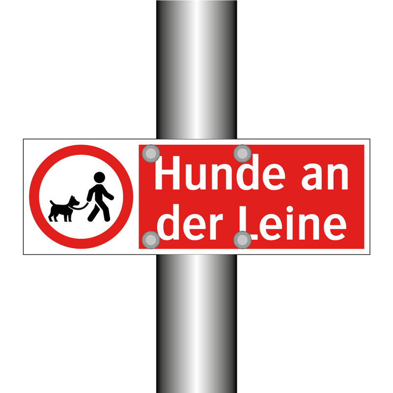 Hunde an der Leine