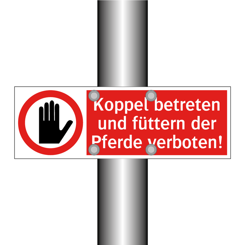 Koppel betreten und füttern der Pferde verboten!