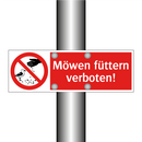 Möwen füttern verboten!