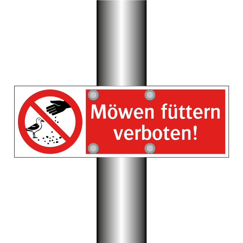 Möwen füttern verboten!