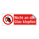 Nicht an das Glas klopfen